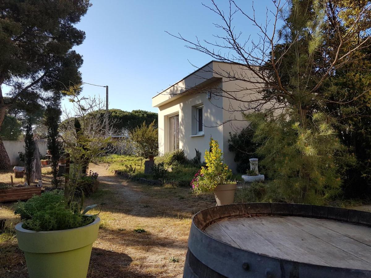 Villa Sunagde, Climatisee, Proche Plage Et Commerces Le Grau-dʼAgde المظهر الخارجي الصورة